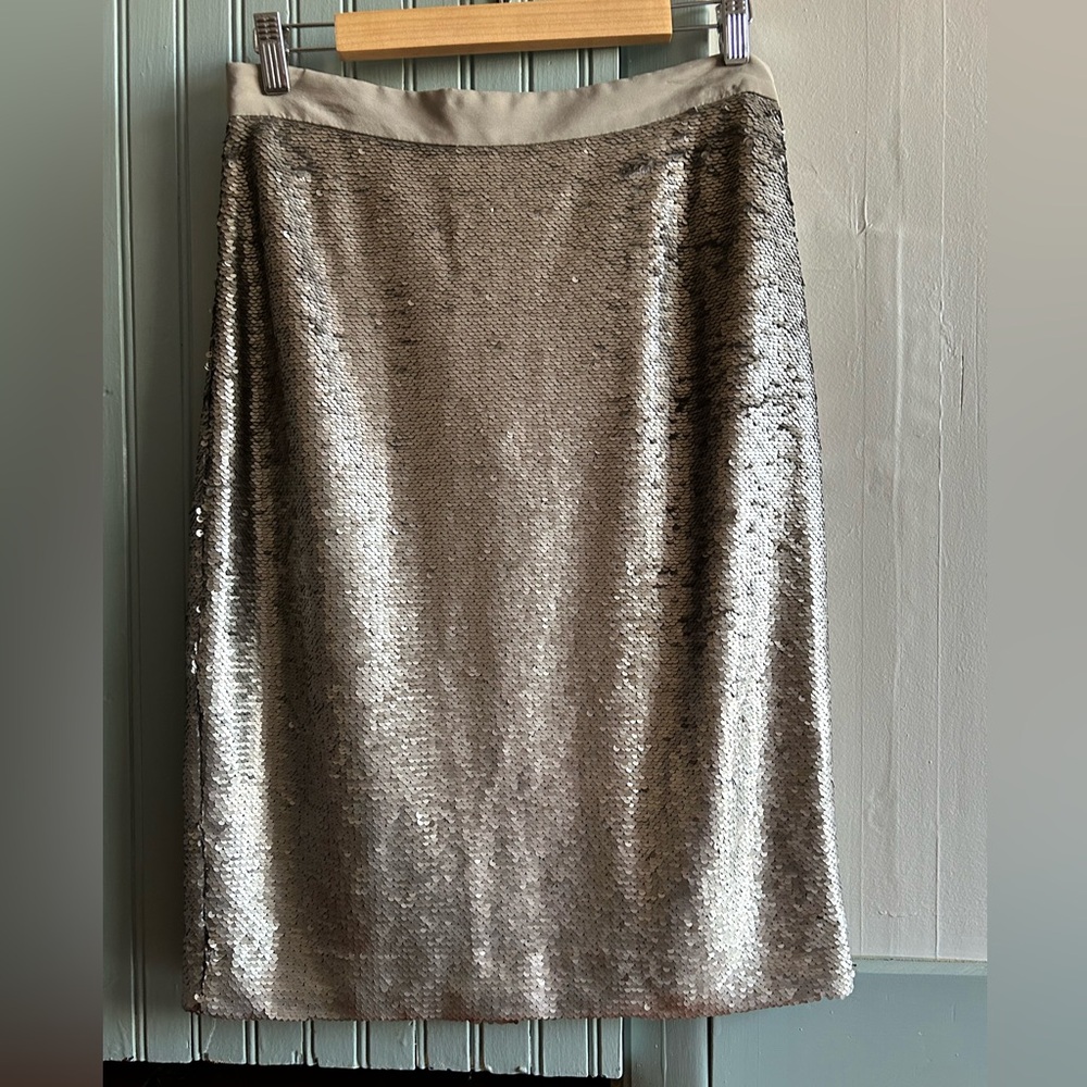 Banana Republic Silver Sequin Skirt